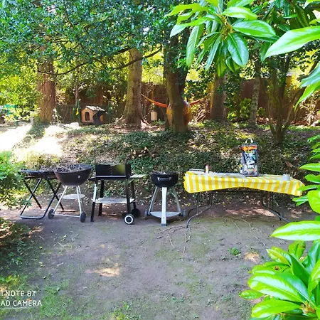La Selvetta Bed & Breakfast